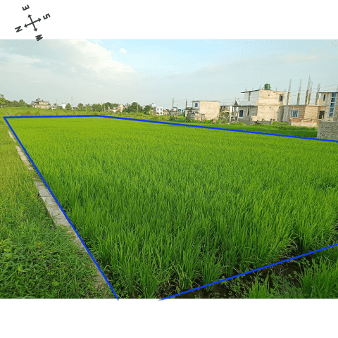 Land for Sale in Itahari-07 Near Ward 7 | NPR 3.5L/Dhur